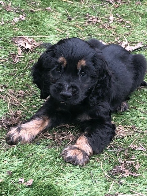 1 van mijn eerste foto's