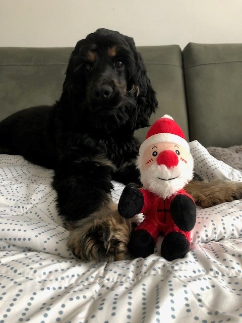 Ho ho ho ... bij de kerstman
